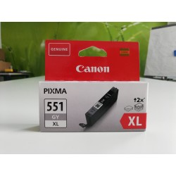 Canon Pixma 551 Gray XL